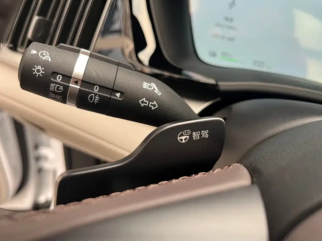 BYD SONGJIANG NEW ENERGY