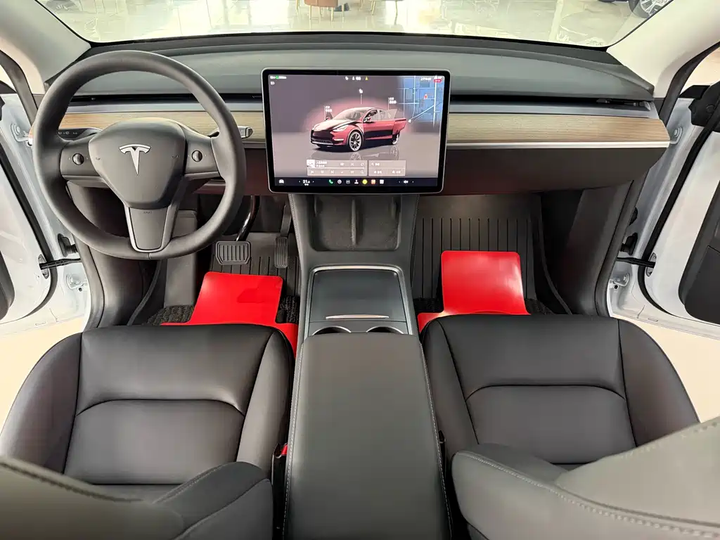 Tesla Model Y — миниатюра 11