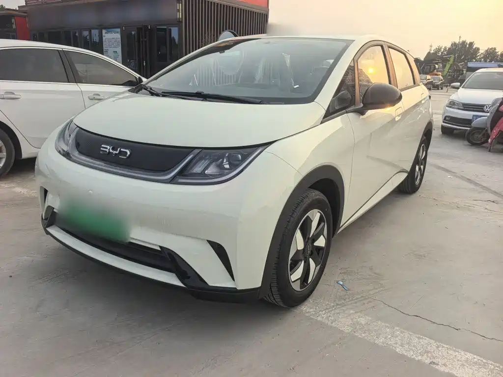 BYD Dolphin 2025 420km Freedom