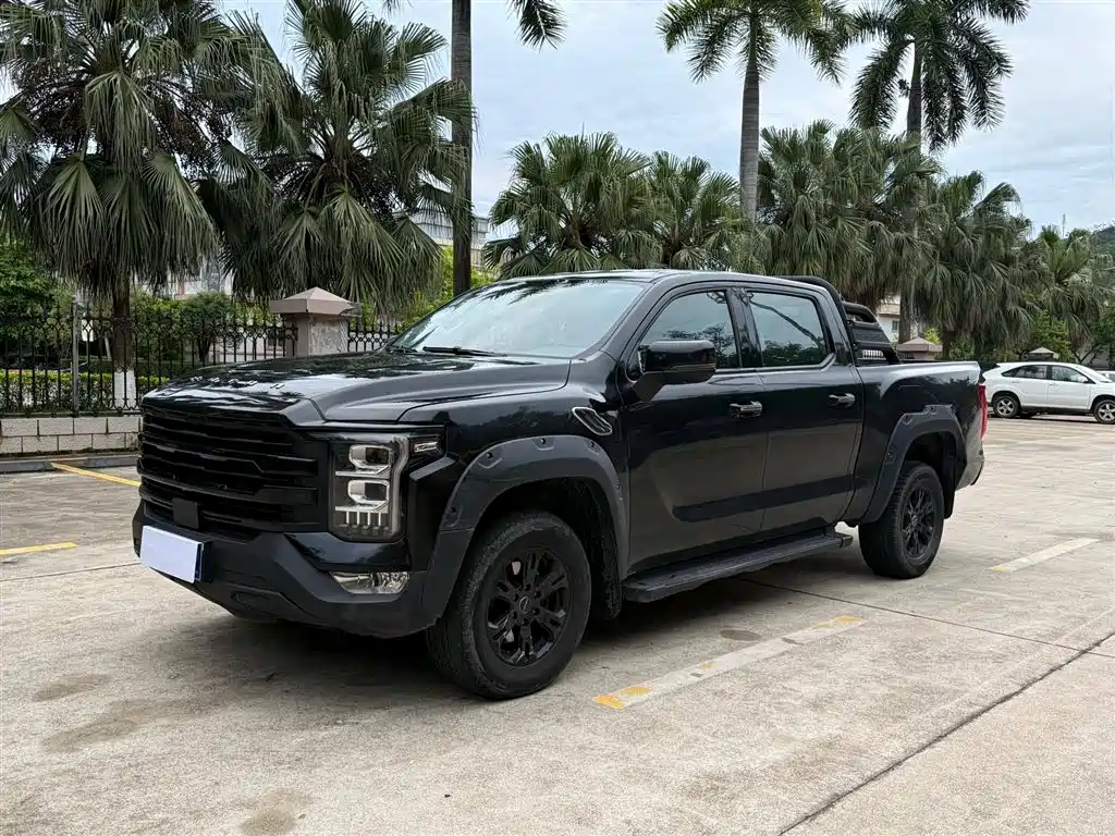 Foton Foton Mars 2024