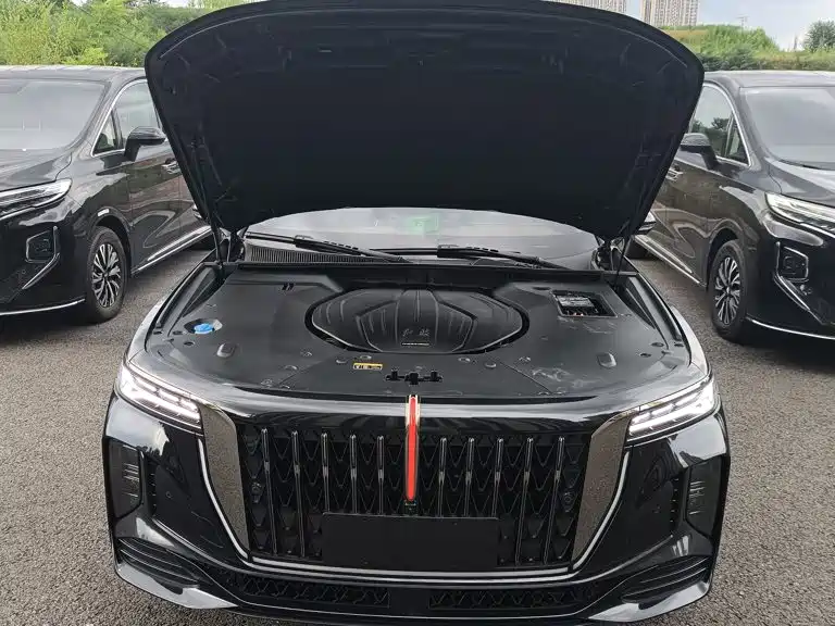 Hongqi Hongqi H9 — миниатюра 20
