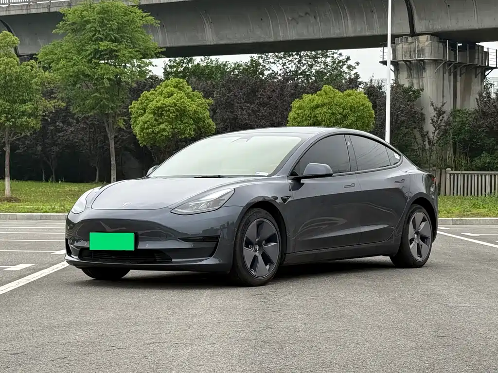 Tesla Model 3 2021