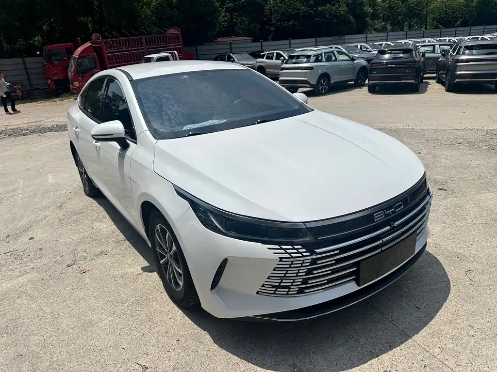 BYD Destroyer 05 2023 Champion DM-i 55KM Luxury