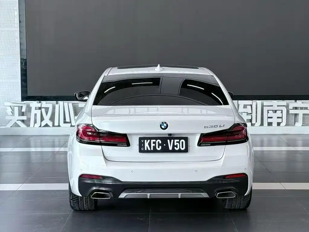 BMW 5 Series — миниатюра 5