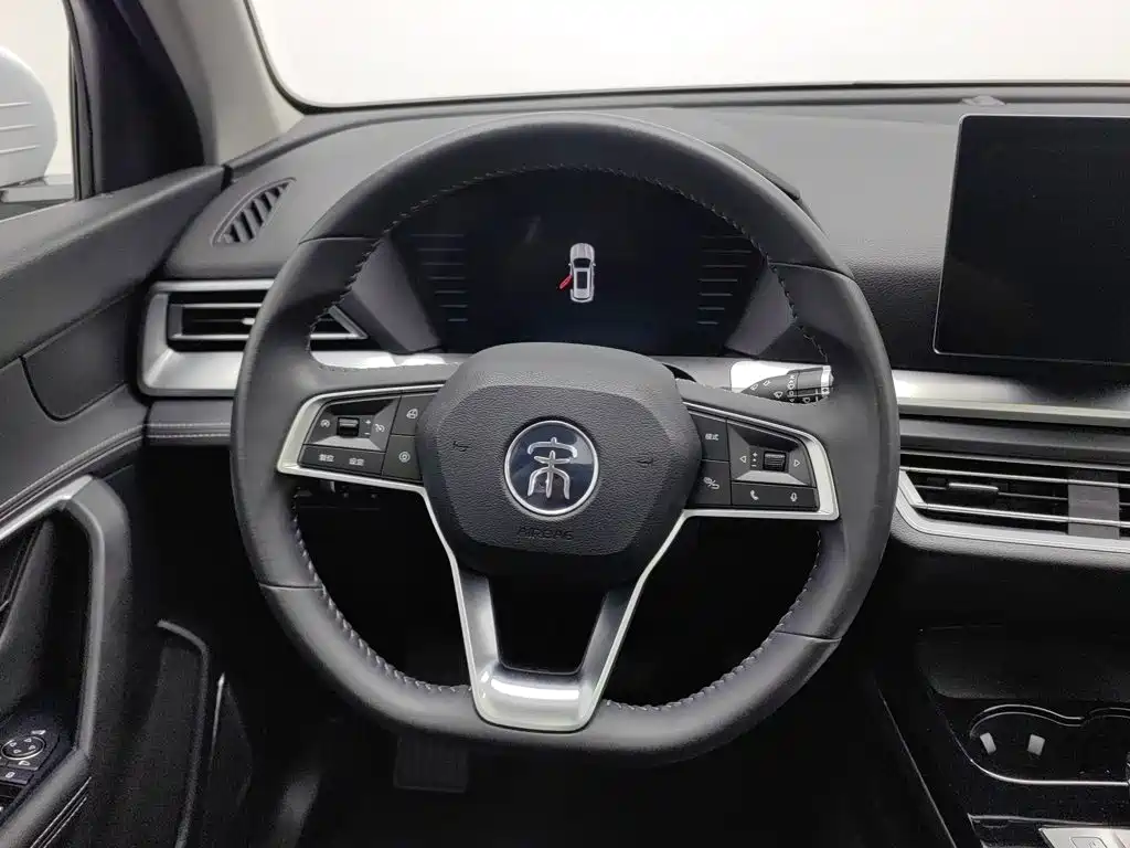 BYD Pro — миниатюра 11