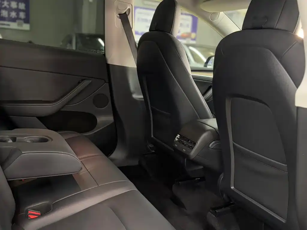 Tesla Model Y — миниатюра 16
