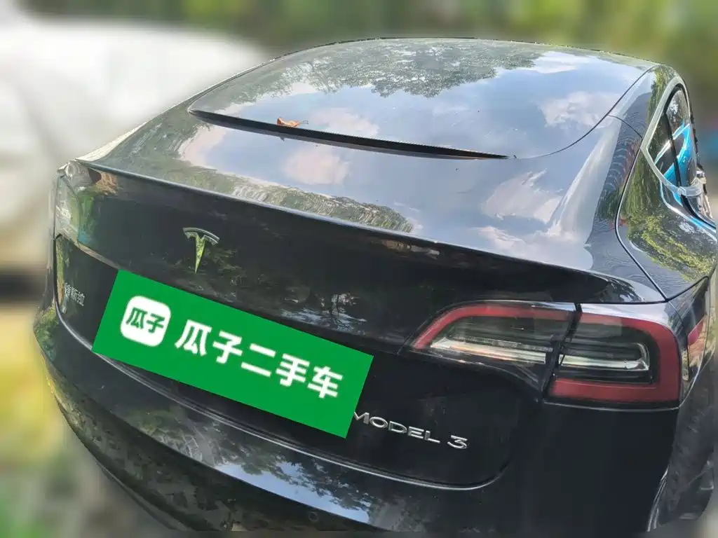 Tesla Model 3 — миниатюра 3