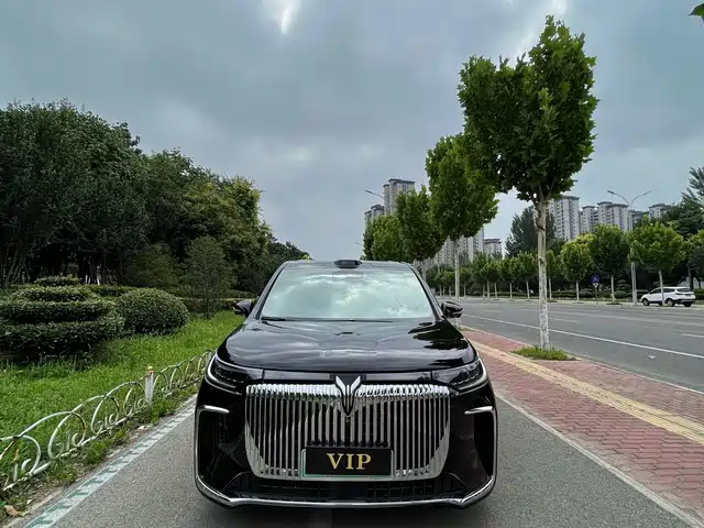 2026 Voyah Dream