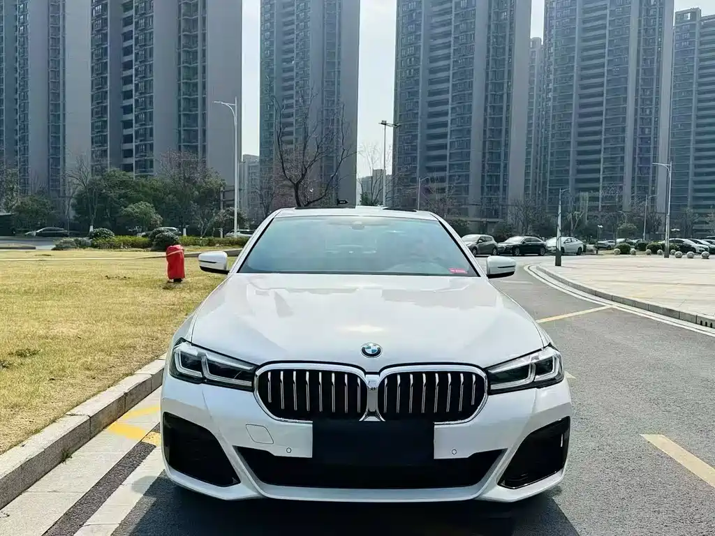 BMW 5 Series — миниатюра 2