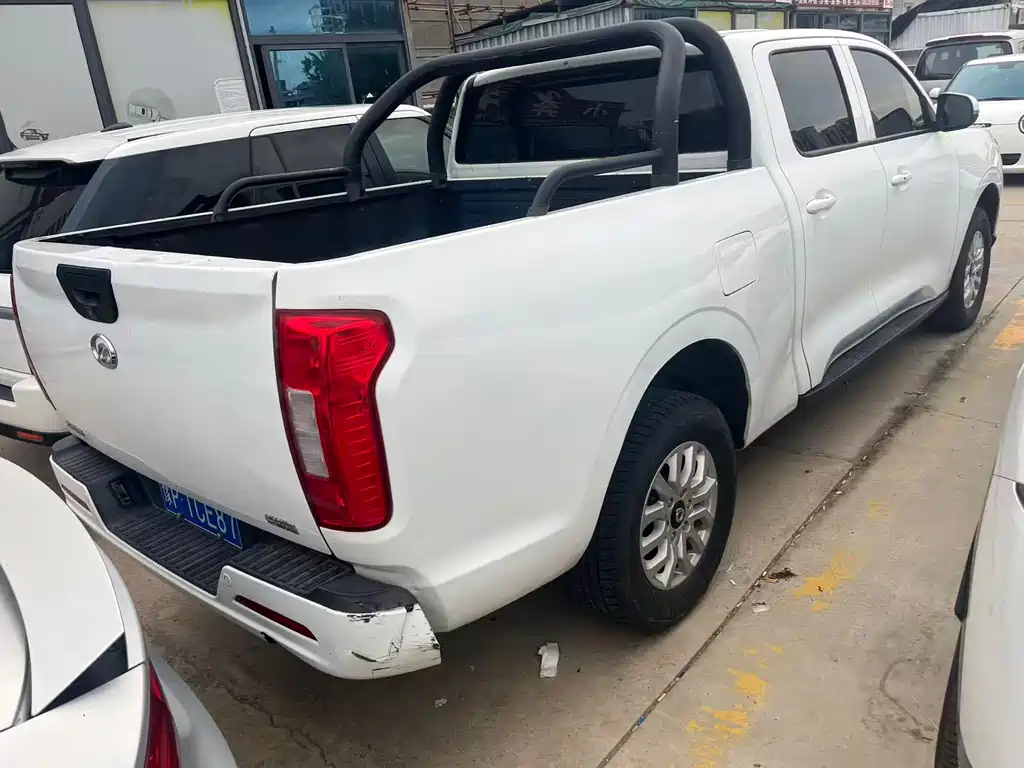 Great Wall Pao — миниатюра 8