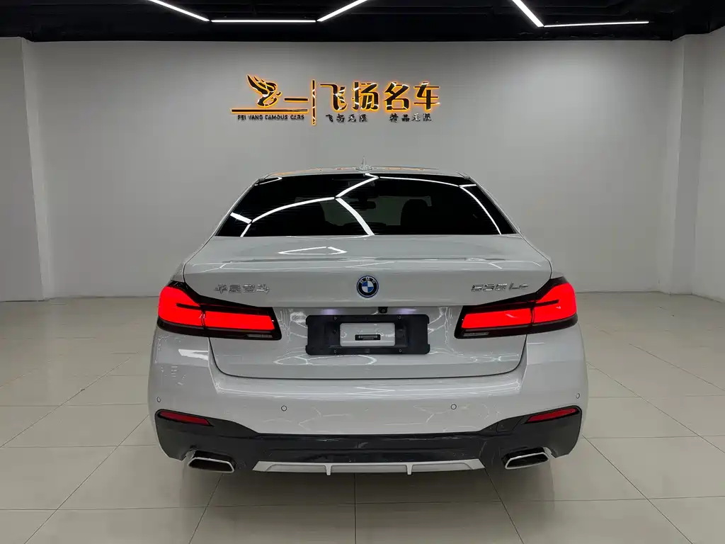 BMW 5 SERIES NEW ENERGY