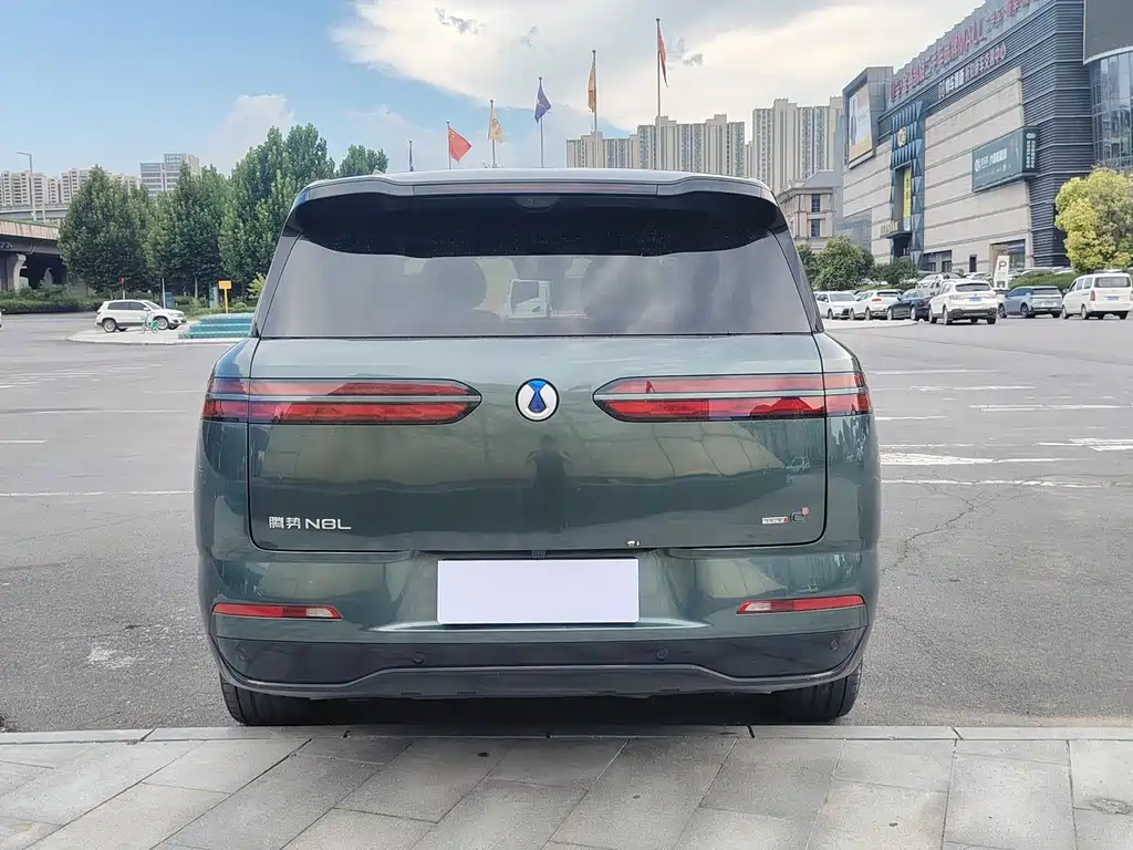 Denza Zoom N8L — миниатюра 11