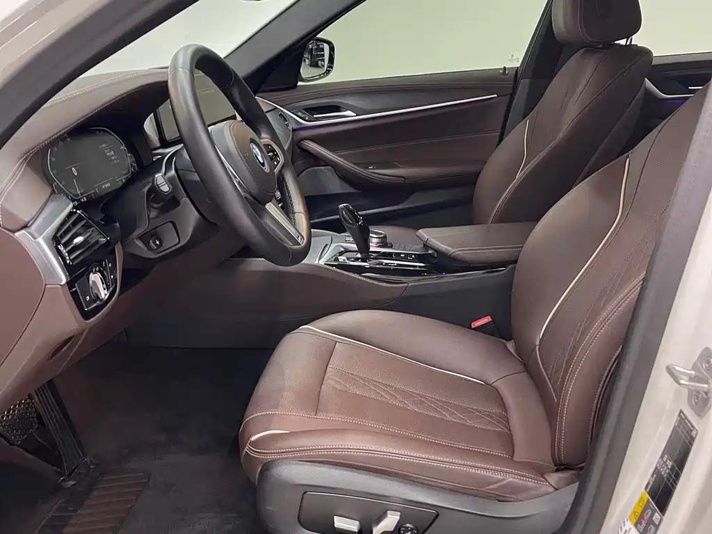 BMW 5 SERIES NEW ENERGY