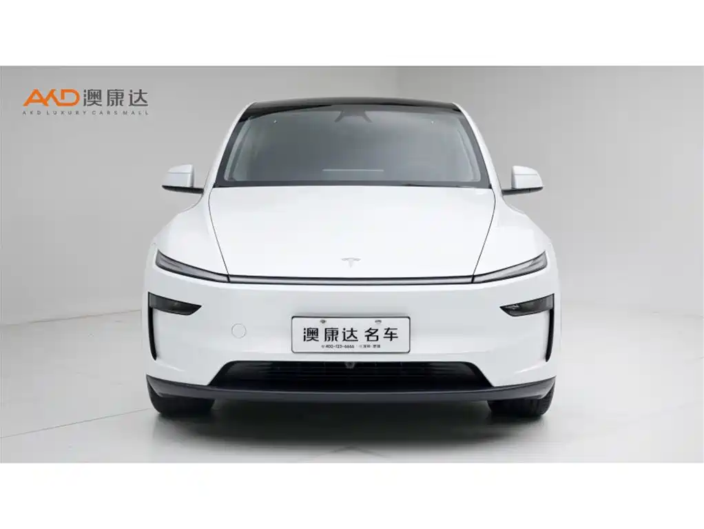 Tesla Model Y — миниатюра 2