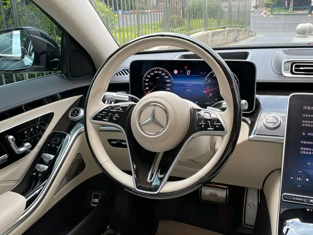 Mercedes-Benz S-Class — миниатюра 19