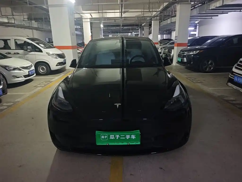 Tesla Model Y — миниатюра 2