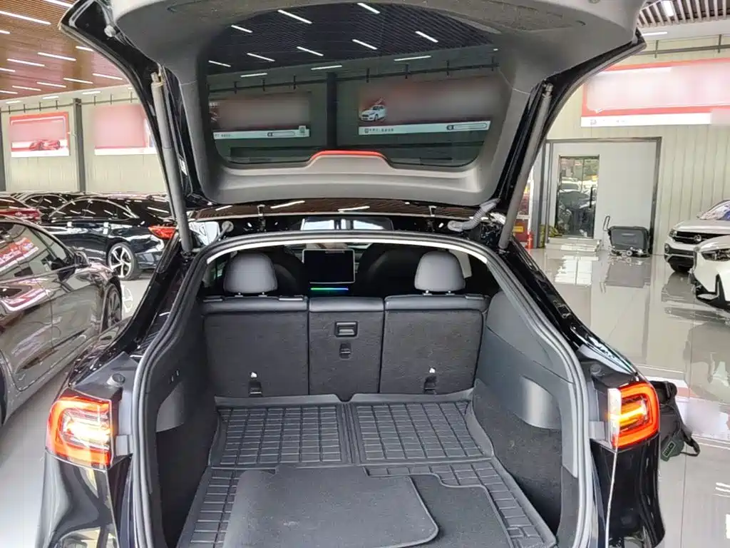 Tesla Model Y — фотографии объявления, Фото 19