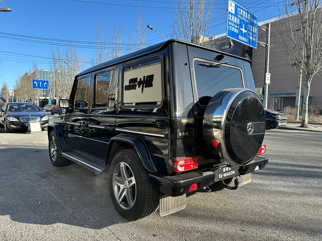 Mercedes-Benz G-Class A MG G AMG 2009 AMG G 55