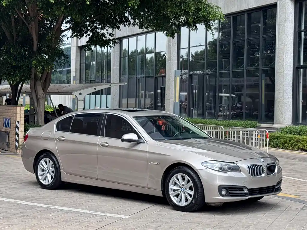BMW 5 Series 5 2014 520Li Elegant