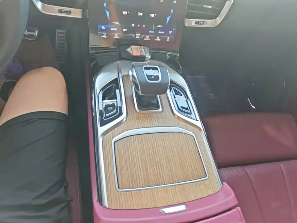 Hongqi Hongqi E-HS9 — миниатюра 14
