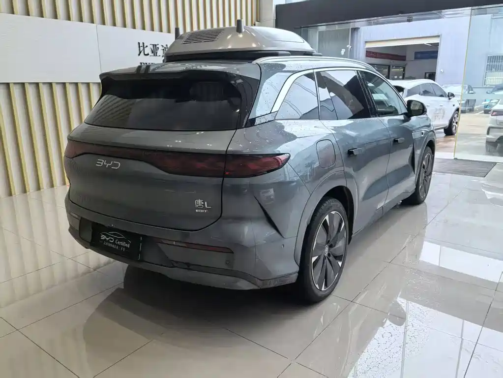BYD Дон Л. — миниатюра 10