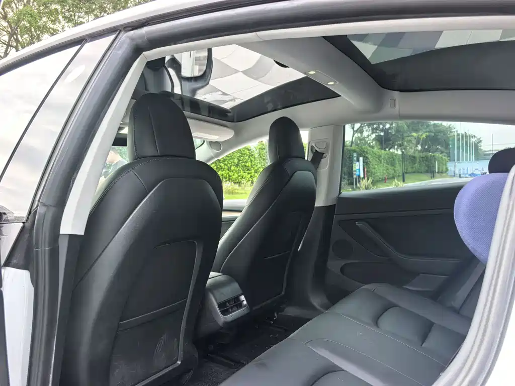 Tesla Model 3 2021 3D6
