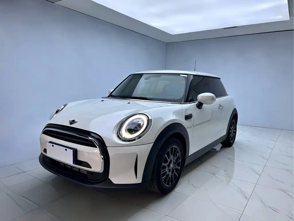 Mini Mini 2024