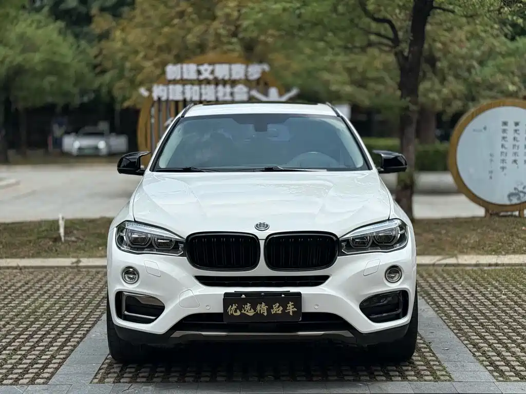 BMW X6 2017 xDrive35i Luxury
