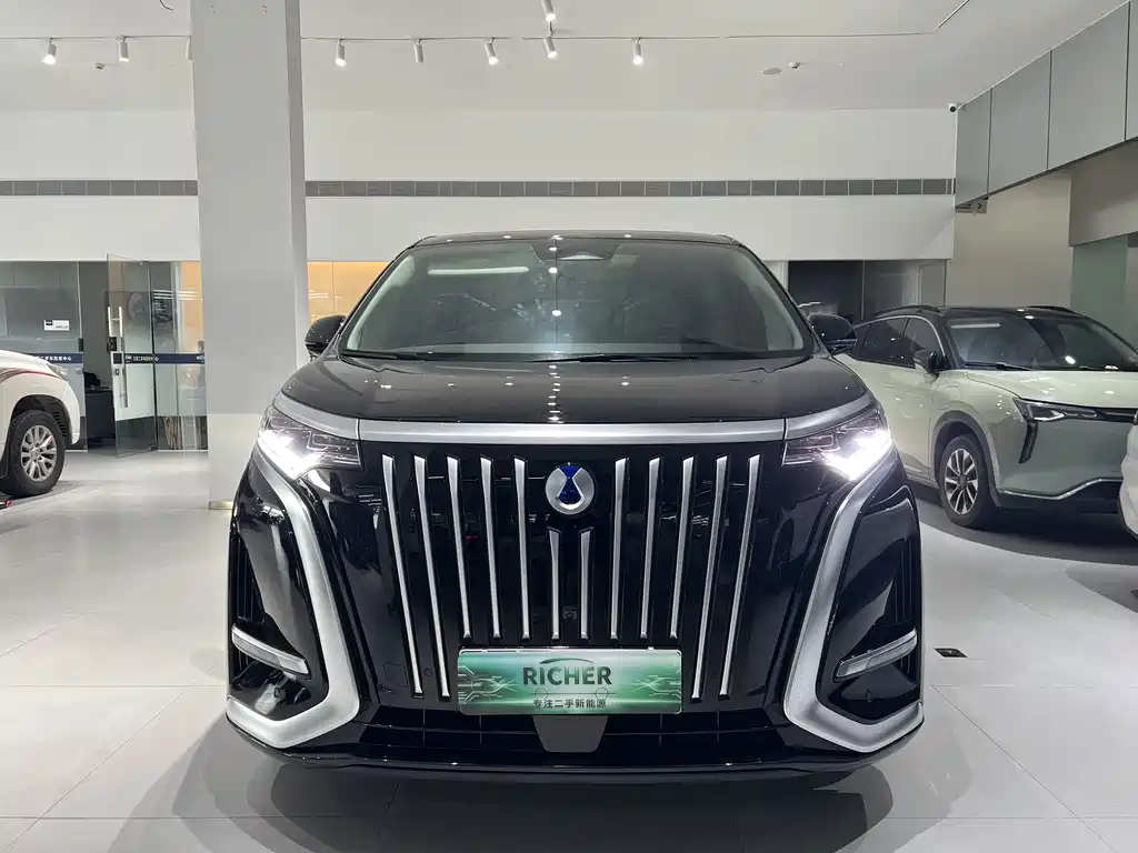 Denza Denza D9 — миниатюра 2