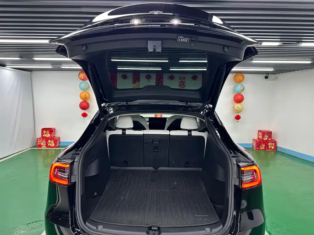 Tesla Model Y — миниатюра 23