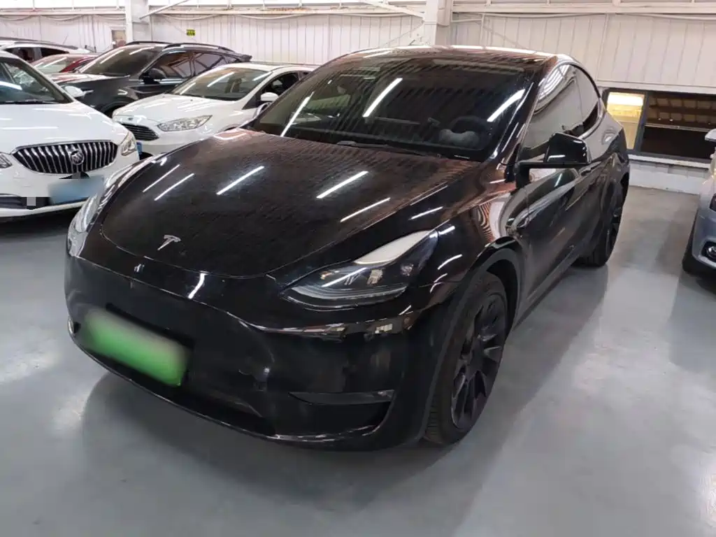 Tesla Model Y — миниатюра 2