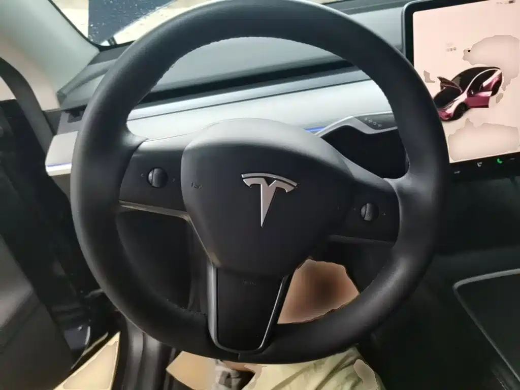 Tesla Model Y — миниатюра 11