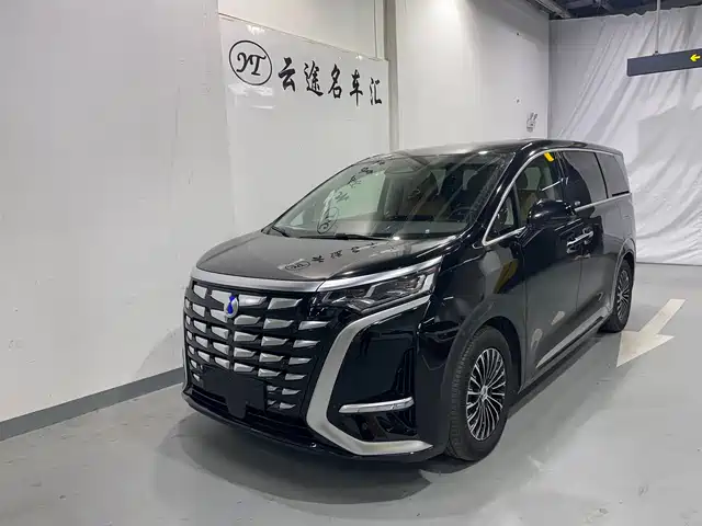 2025 Denza D9