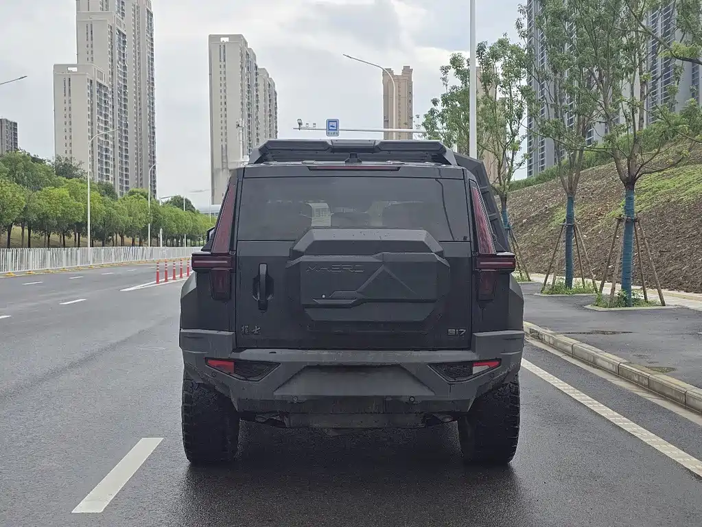 Mengshi Mengshi 917 — миниатюра 5
