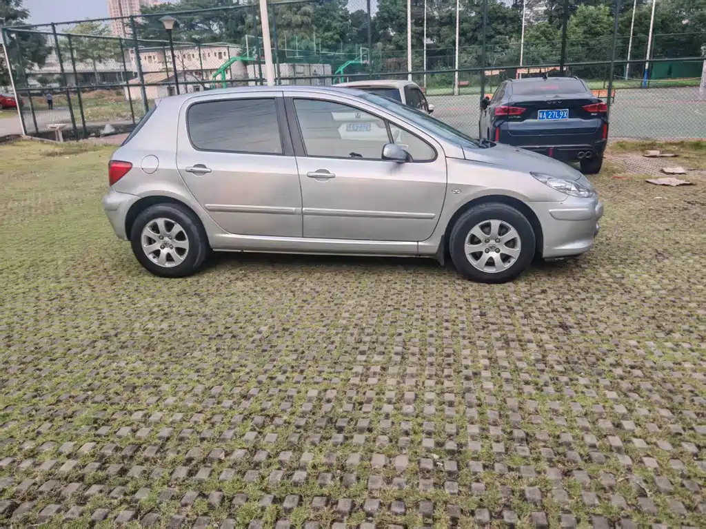 Peugeot 307 — миниатюра 3