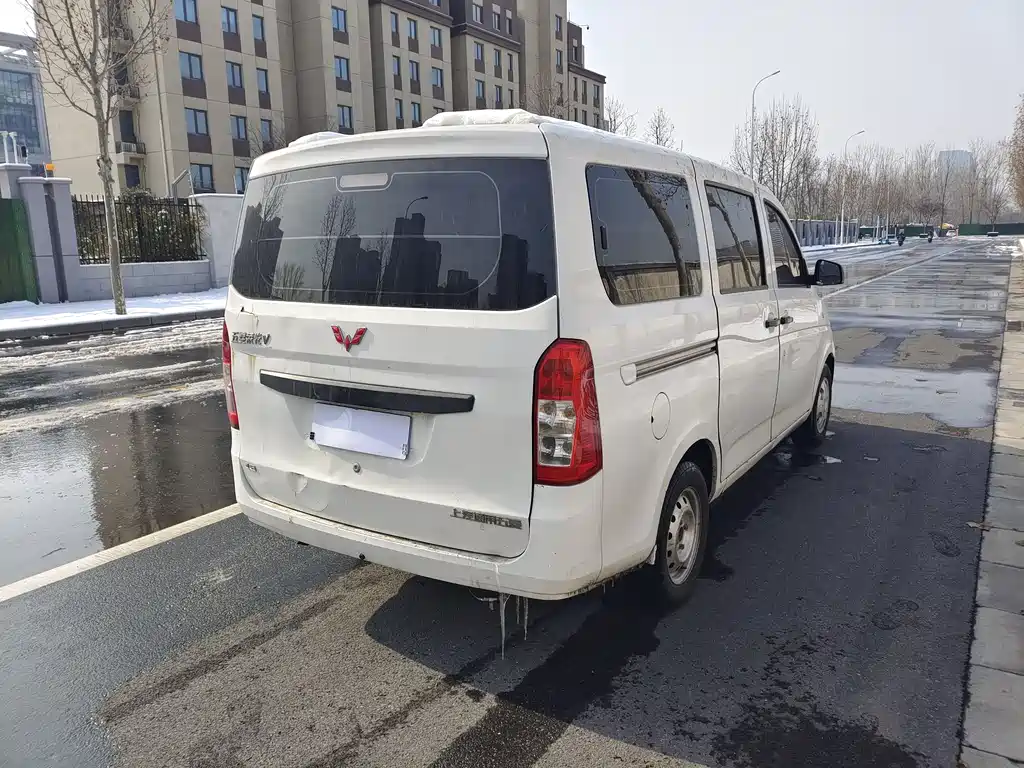 WULING WULING RONGGUANG V