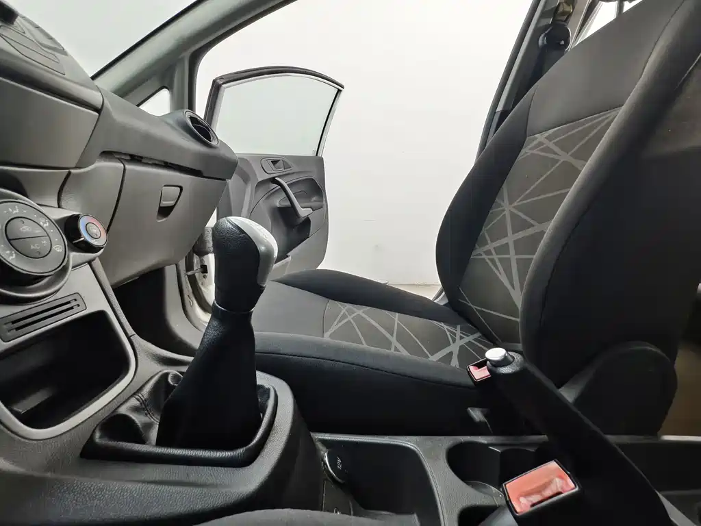 Ford Fiesta — миниатюра 11