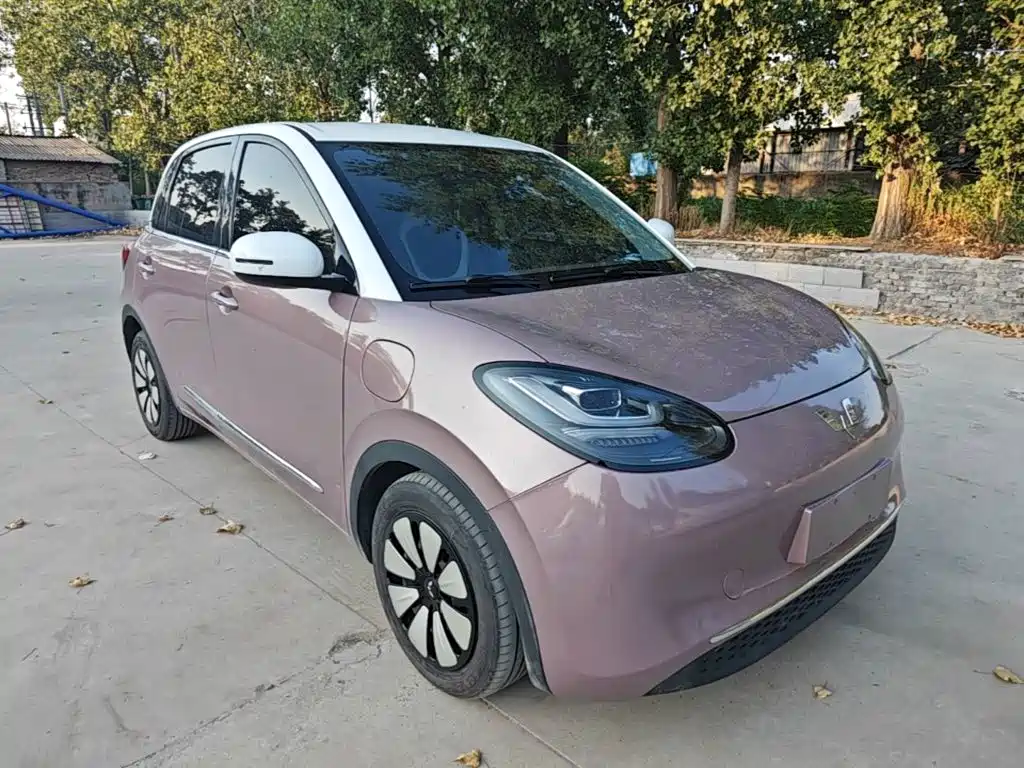 Wuling Binguo 2023 333km