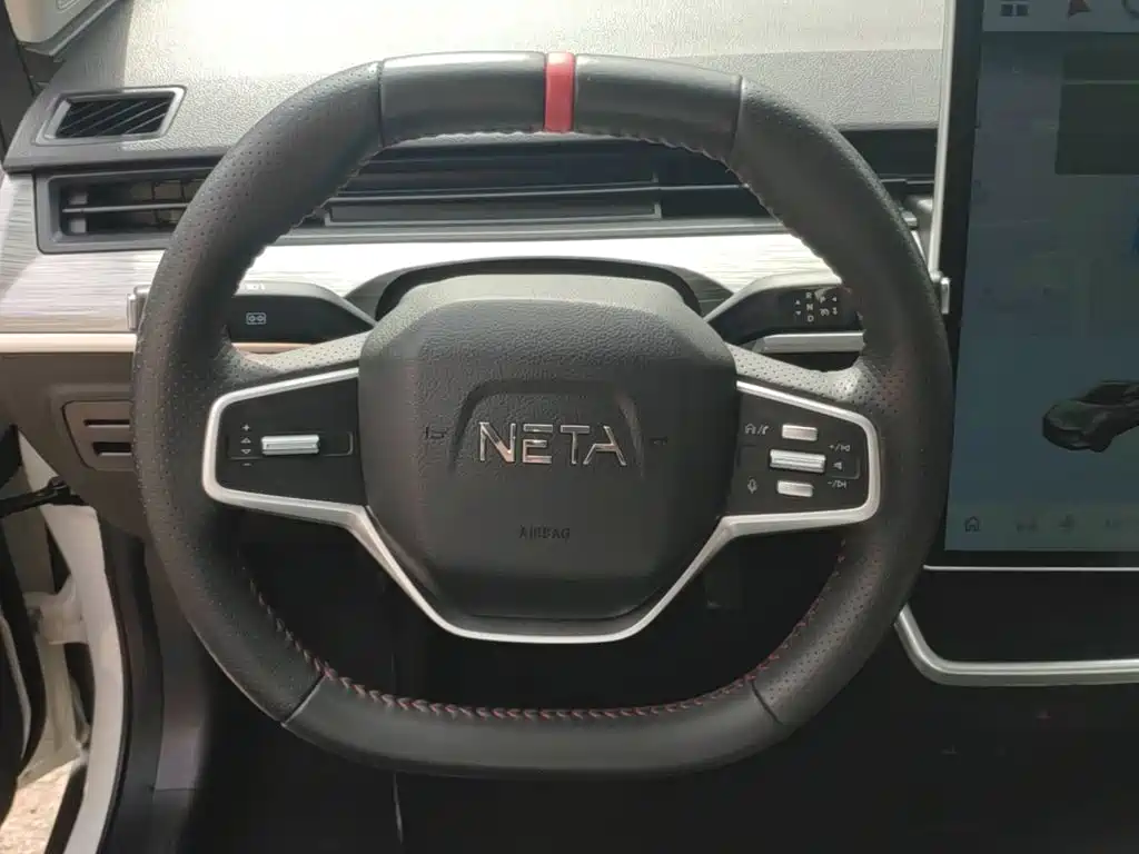 Neta Neta V — миниатюра 11