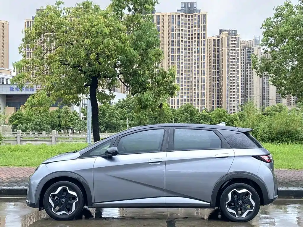 BYD Dolphin — миниатюра 3