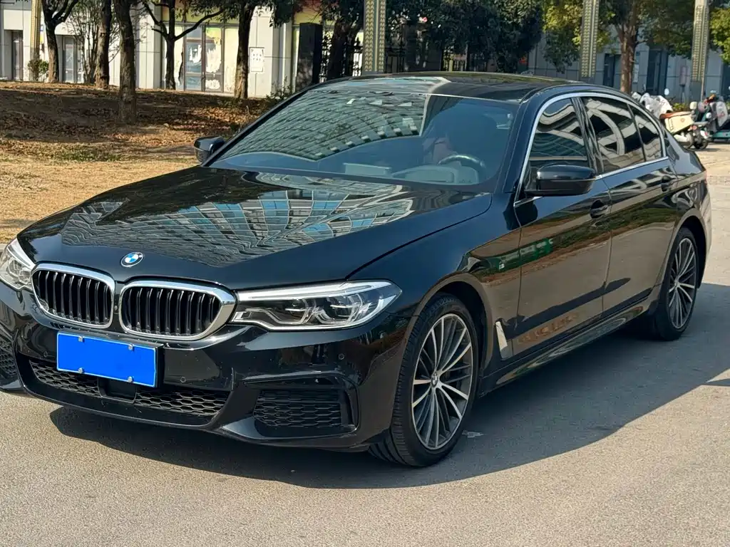 BMW 5 SERIES