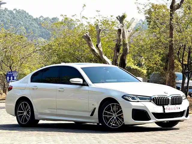 BMW 5 SERIES
