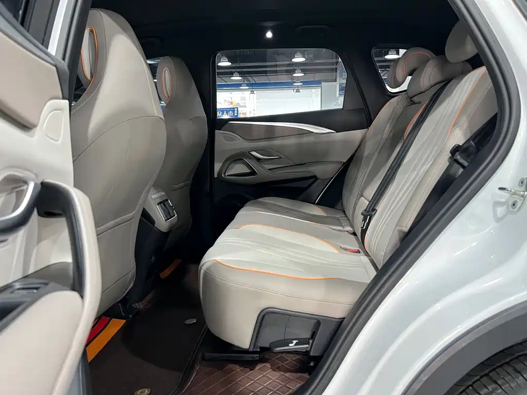 BYD SONGJIANG NEW ENERGY