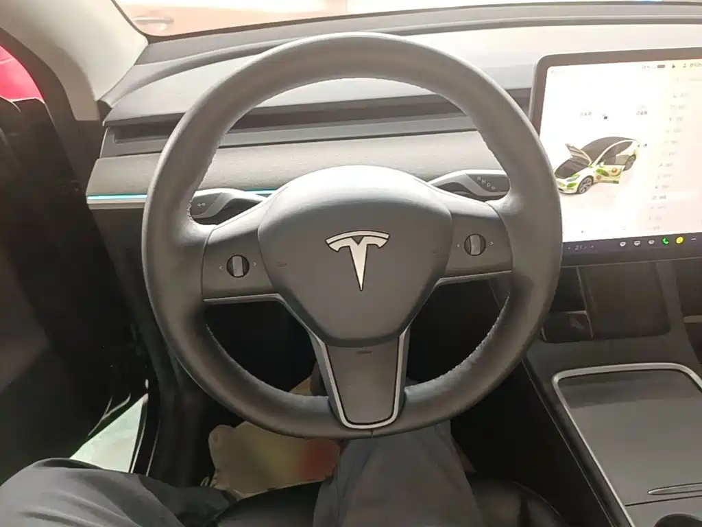 Tesla Model Y — миниатюра 11