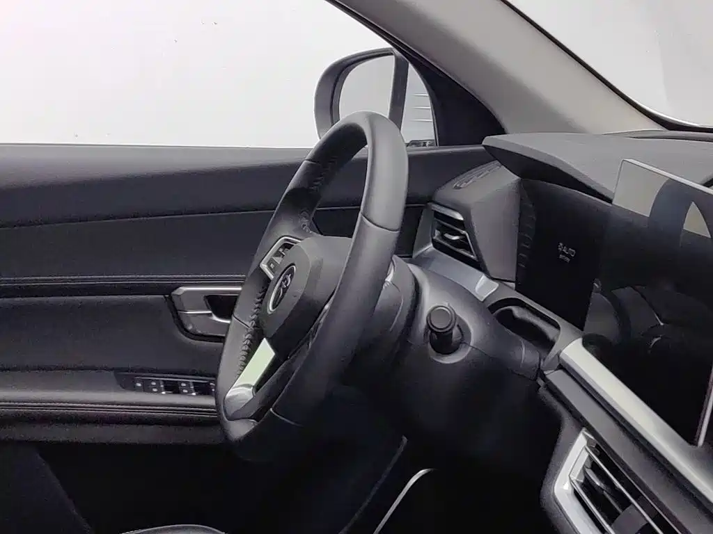 BYD Pro — миниатюра 22
