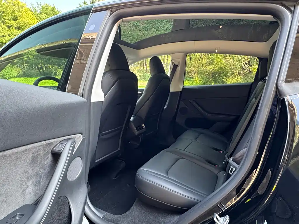 Tesla Model Y — миниатюра 6