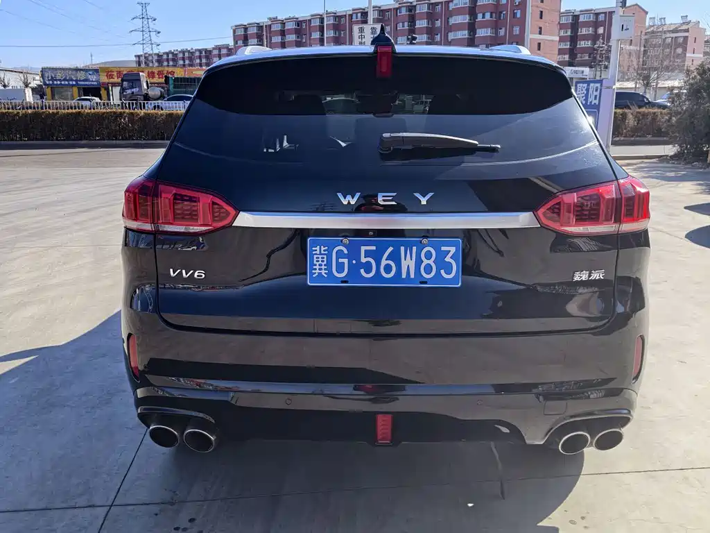 WEI PAI WEI BRAND VV6