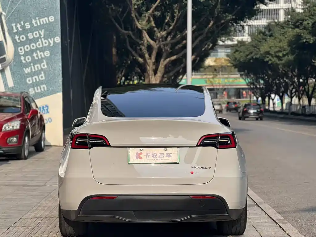 TESLA MODEL Y