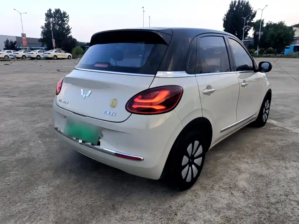 Wuling Binguo 2023 333km +