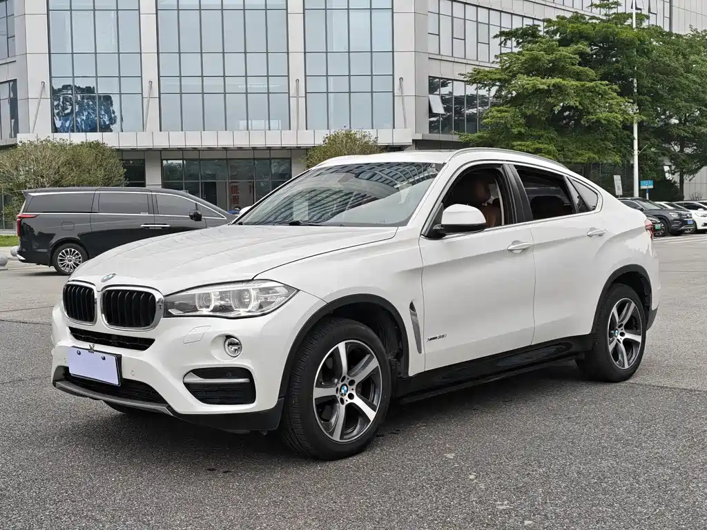 BMW X6 2015 xDrive35i Leading Type